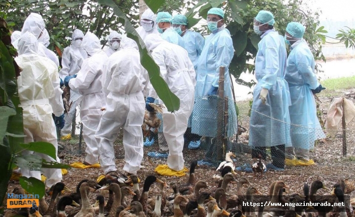 Covid-19’dan sonra ikinci salgın dalgası! Bakın ilk hangi ülkede görüldü?